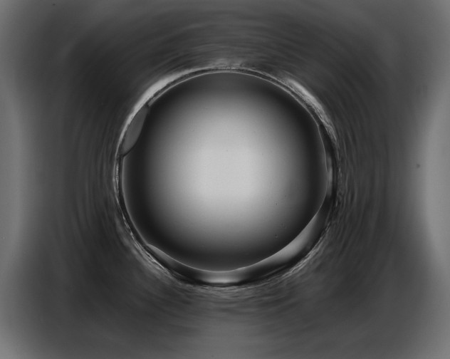 X0000087751340200705071105