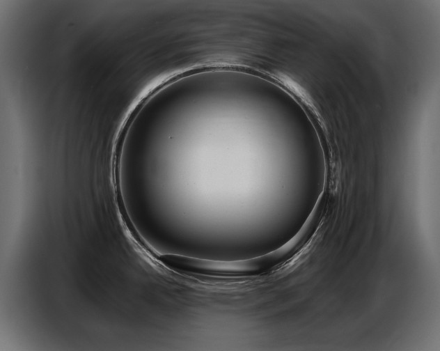 X0000087751342200705071105