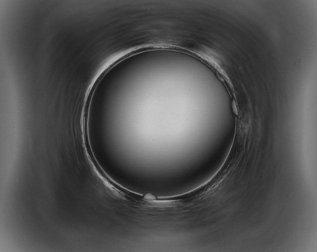 X0000087751343200705071105