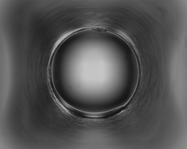 X0000087751344200705071105