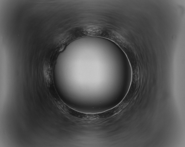 X0000087751346200705071105