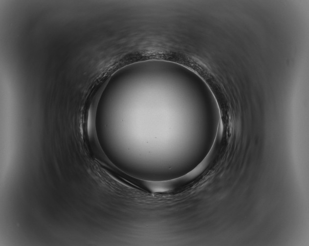 X0000087751348200705071105