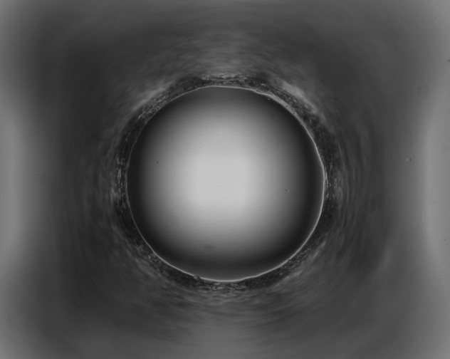 X0000087751350200705071105