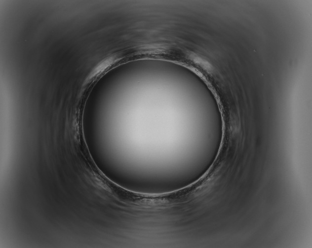 X0000087751354200705071105