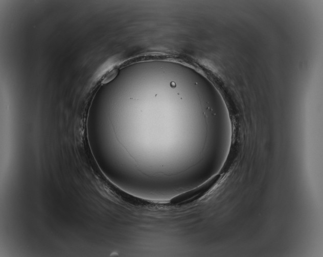 X0000087751355200705071105