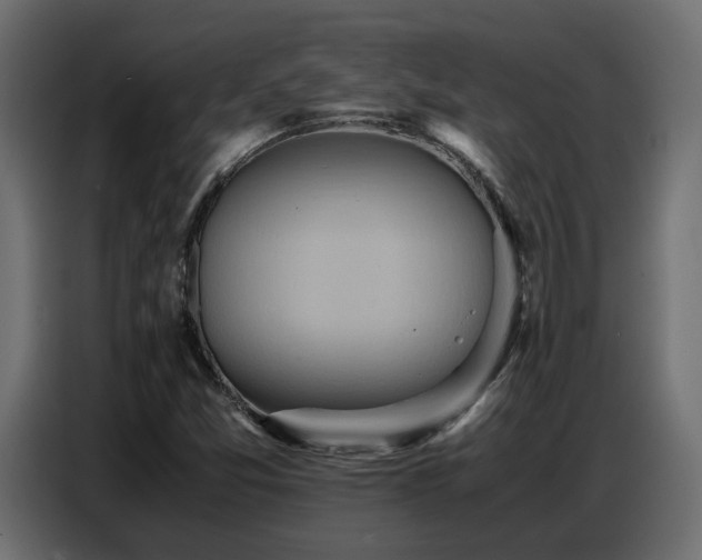 X0000087751357200705071105