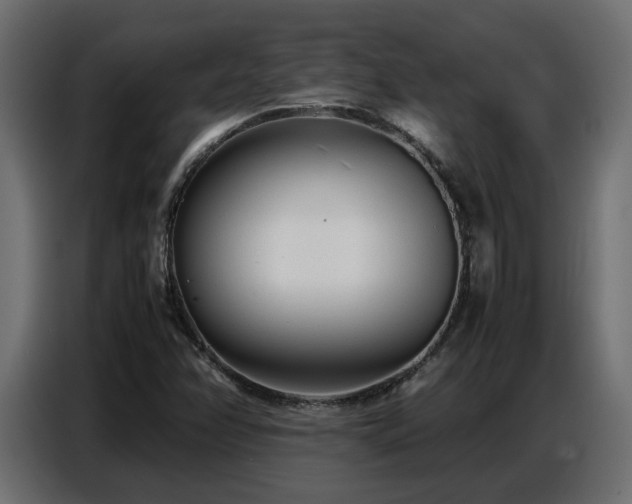 X0000087751358200705071105