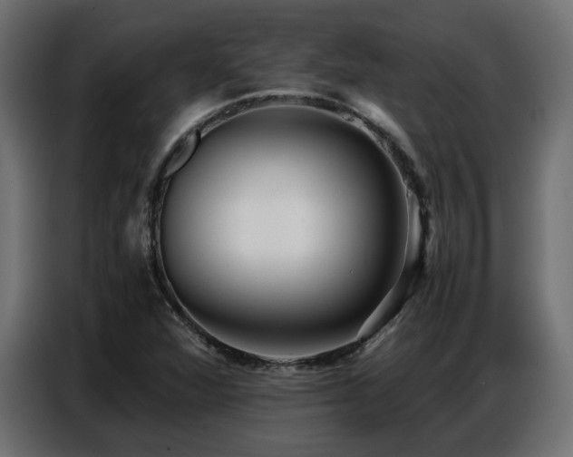 X0000087751360200705071105