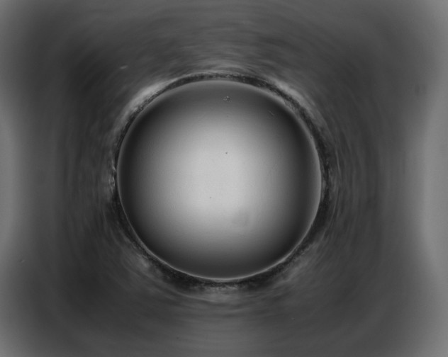 X0000087751363200705071105