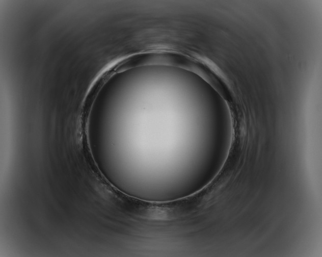 X0000087751364200705071104