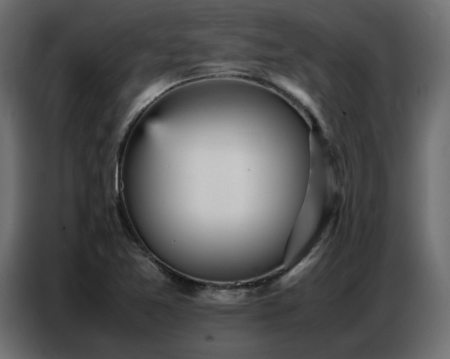 X0000087751365200705071104