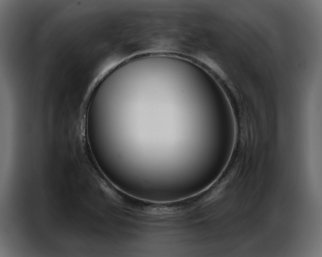 X0000087751366200705071104