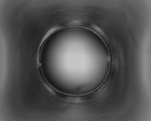 X0000087751370200705071104