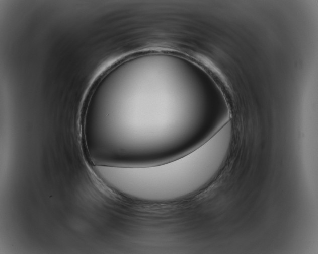 X0000087751372200705071104