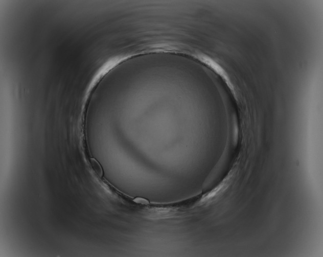 X0000087751373200705071104