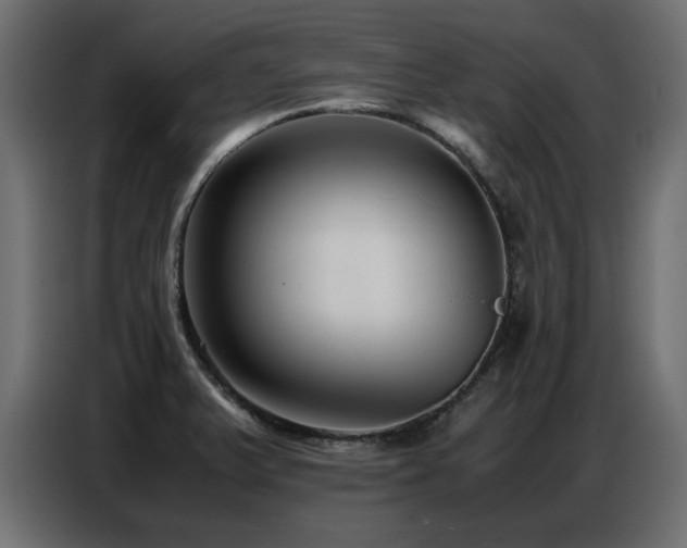 X0000087751375200705071104