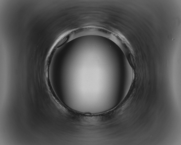X0000087751376200705071104