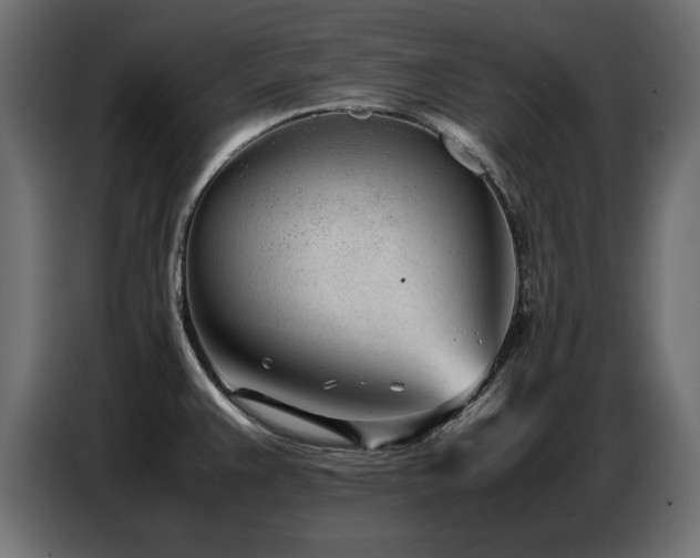 X0000087751383200705071104