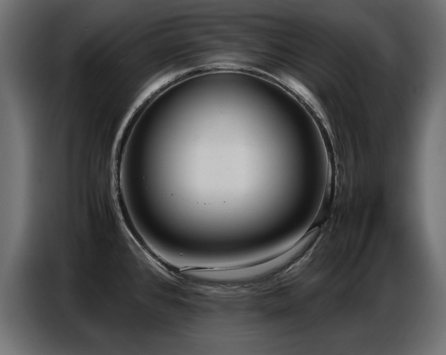 X0000087751384200705071104