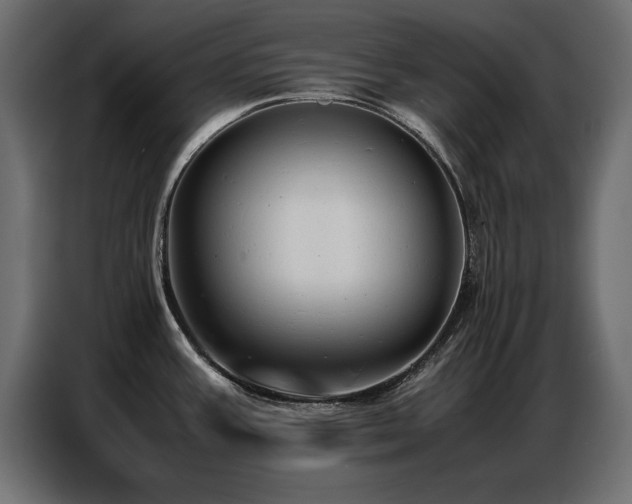 X0000087751387200705071104