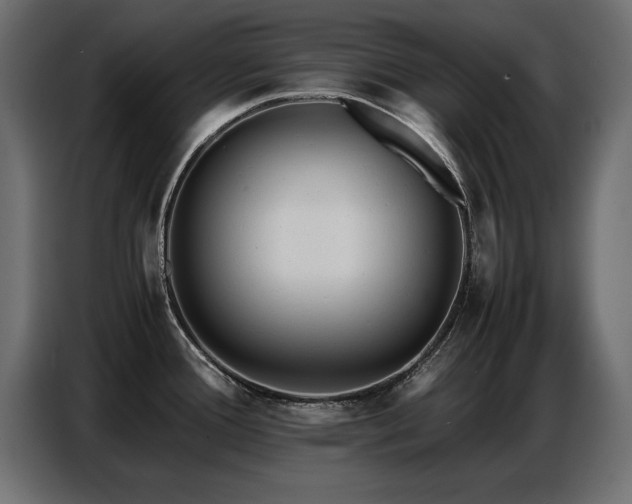 X0000087751388200705071104