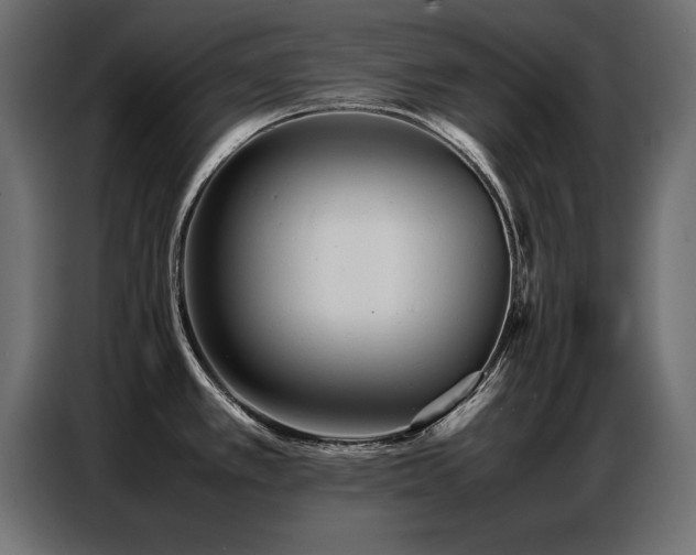 X0000087751389200705071104
