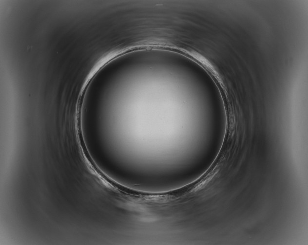 X0000087751390200705071104
