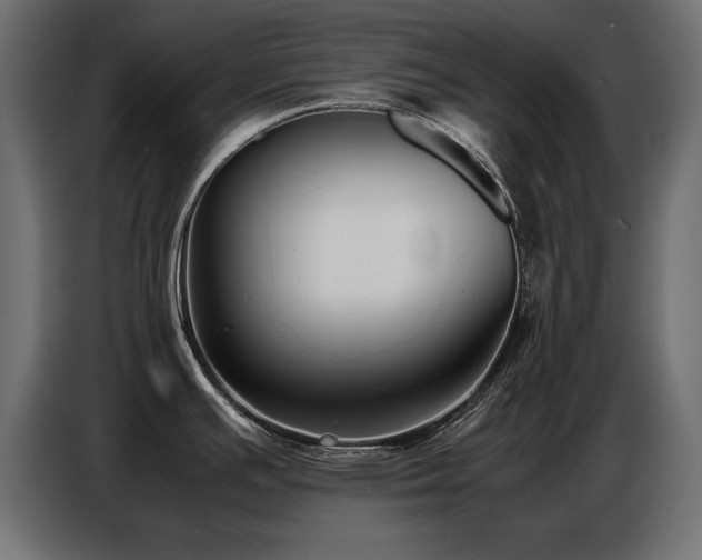 X0000087751391200705071104