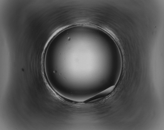 X0000087751392200705071104