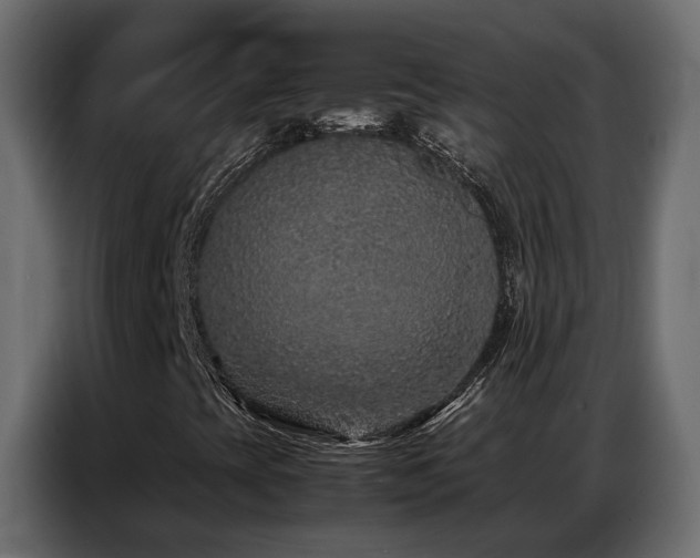 X0000087751393200705071104