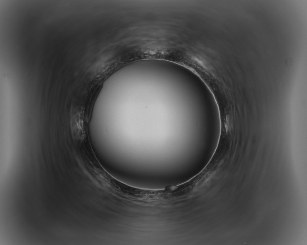 X0000087751396200705071104