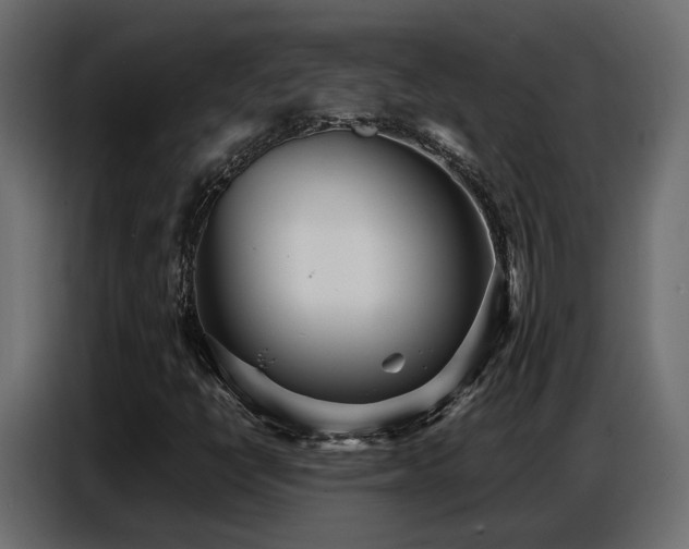 X0000087751398200705071104