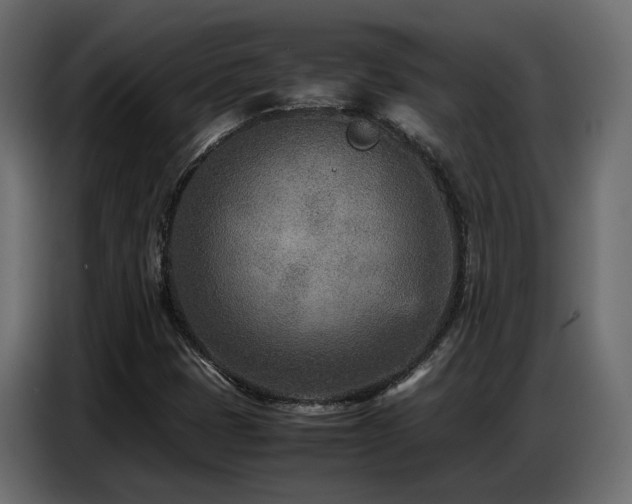 X0000087751401200705071104