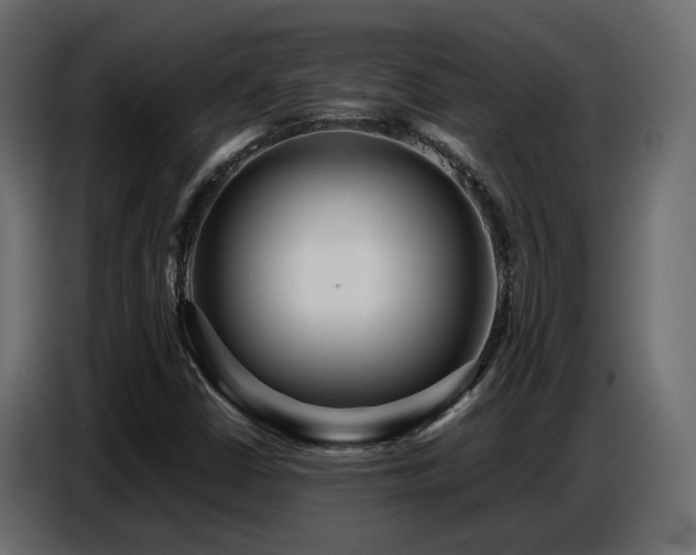 X0000087751402200705071104