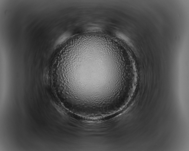 X0000087751403200705071104