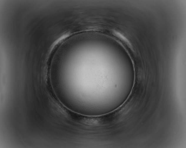 X0000087751411200705071104