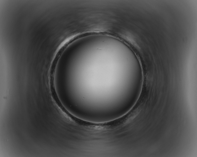 X0000087751412200705071104
