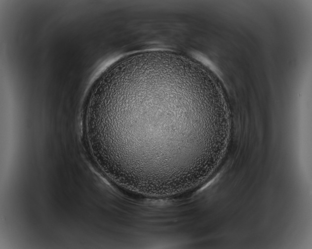 X0000087751415200705071104