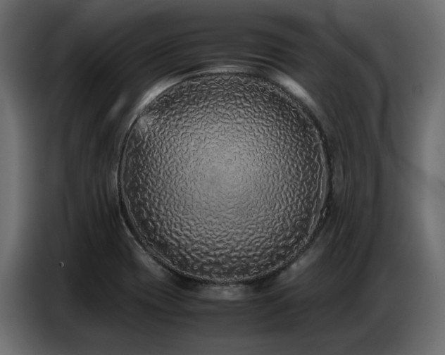 X0000087751417200705071104