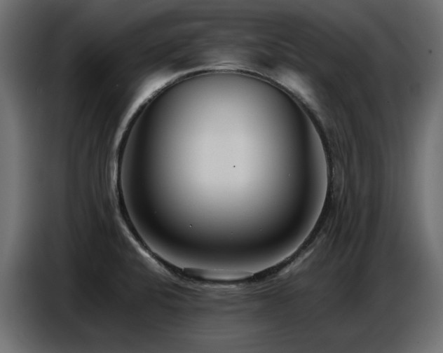 X0000087751424200705071104