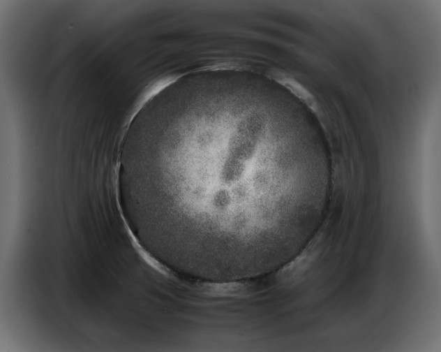 X0000087751425200705071104