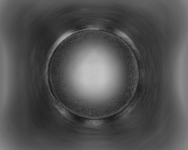 X0000087751427200705071104