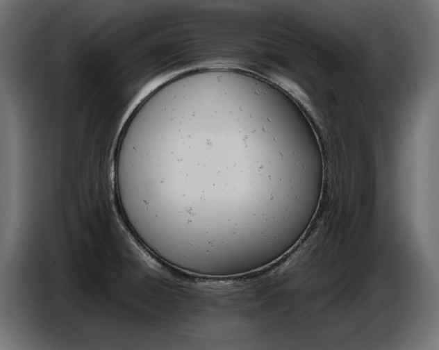 X0000087751428200705071104