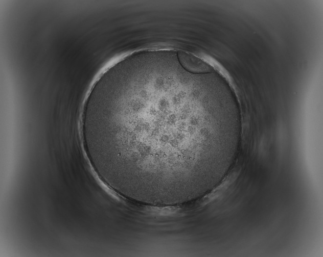 X0000087751429200705071104