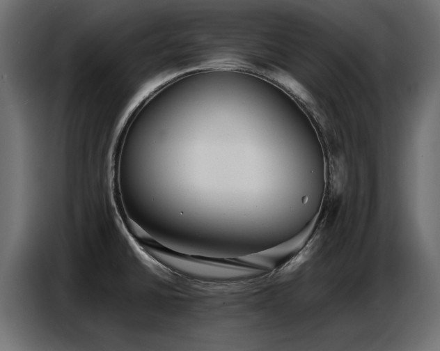 X0000087751430200705071104