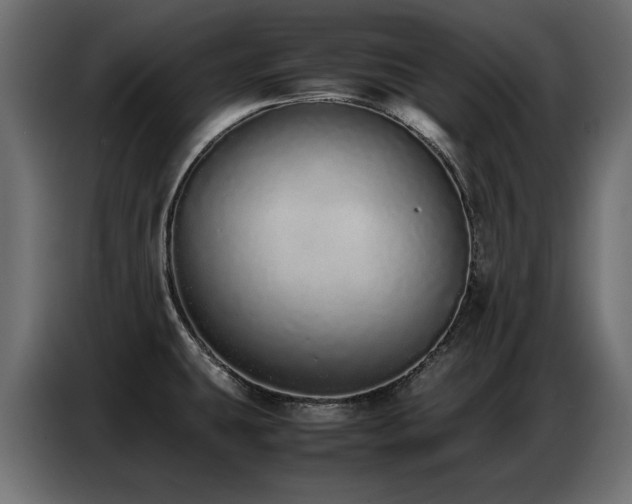 X0000087751431200705071104
