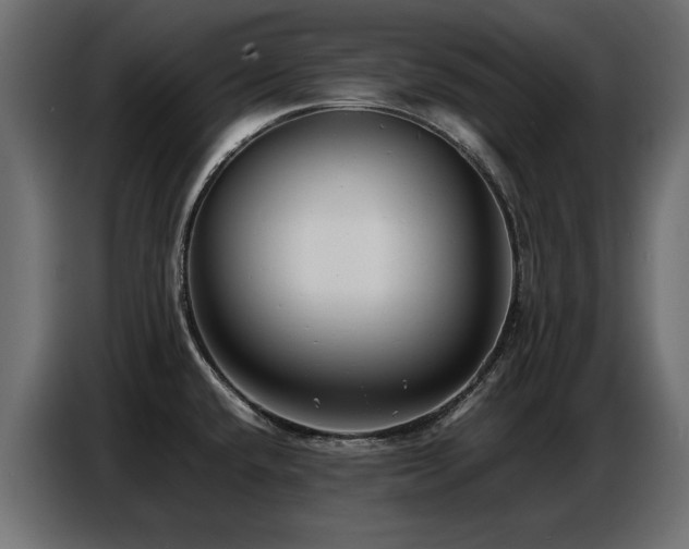 X0000087751432200705071104