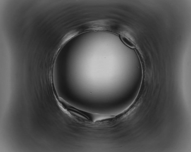 X0000087751433200705071104