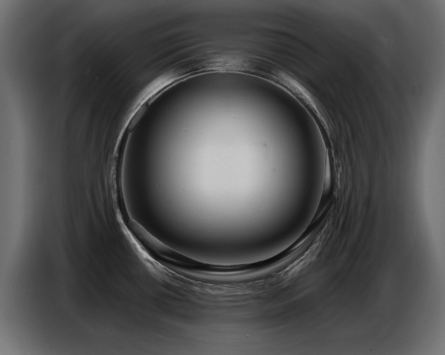 X0000087751434200705071104