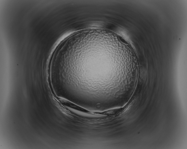 X0000087751435200705071104